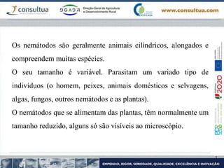 Os nemátodos são geralmente animais cilíndricos, alongados e
compreendem muitas espécies.
O seu tamanho é variável. Parasitam um variado tipo de
indivíduos (o homem, peixes, animais domésticos e selvagens,
algas, fungos, outros nemátodos e as plantas).
O nemátodos que se alimentam das plantas, têm normalmente um
tamanho reduzido, alguns só são visíveis ao microscópio.
 