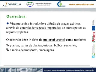  Visa prevenir a introdução e difusão de pragas exóticas,
através do controlo de vegetais importados de outros países ou
regiões suspeitas.
O controlo deve ir além do material vegetal como também:
 plantas, partes de plantas, estacas, bolbos, sementes;
 a meios de transporte, embalagens.
Quarentena:
 