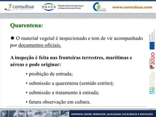  O material vegetal é inspecionado e tem de vir acompanhado
por documentos oficiais.
A inspeção é feita nas fronteiras terrestres, marítimas e
aéreas e pode originar:
• proibição de entrada;
• submissão a quarentena (sentido estrito);
• submissão a tratamento à entrada;
• futura observação em cultura.
Quarentena:
 