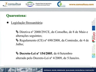  Legislação fitossanitária:
 Diretiva nº 2000/29/CE, do Conselho, de 8 de Maio e
alterações seguintes;
 Regulamento (CE) nº 690/2008, da Comissão, de 4 de
Julho;
 Decreto-Lei nº 154/2005, de 6/Setembro
alterado pelo Decreto-Lei nº 4/2009, de 5/Janeiro.
Quarentena:
 
