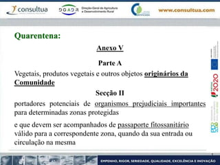 Anexo V
Parte A
Vegetais, produtos vegetais e outros objetos originários da
Comunidade
Secção II
portadores potenciais de organismos prejudiciais importantes
para determinadas zonas protegidas
e que devem ser acompanhados de passaporte fitossanitário
válido para a correspondente zona, quando da sua entrada ou
circulação na mesma
Quarentena:
 