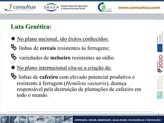  No plano nacional, são êxitos conhecidos:
 linhas de cereais resistentes às ferrugens;
 variedades de meloeiro resistentes ao oídio.
 No plano internacional cita-se a criação de:
 linhas de cafeeiro com elevado potencial produtivo e
resistente à ferrugem (Hemileia vastatrix), doença
responsável pela destruição de plantações de cafeeiro em
todo o mundo.
Luta Genética:
 