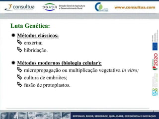  Métodos clássicos:
 enxertia;
 hibridação.
 Métodos modernos (biologia celular):
 micropropagação ou multiplicação vegetativa in vitro;
 cultura de embriões;
 fusão de protoplastos.
Luta Genética:
 