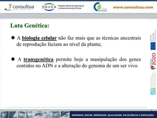  A biologia celular não faz mais que as técnicas ancestrais
de reprodução faziam ao nível da planta;
 A transgenética permite hoje a manipulação dos genes
contidos no ADN e a alteração do genoma de um ser vivo.
Luta Genética:
 