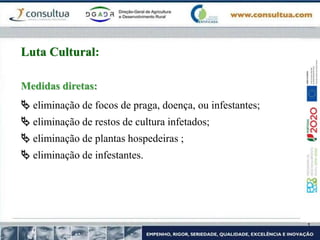 Medidas diretas:
 eliminação de focos de praga, doença, ou infestantes;
 eliminação de restos de cultura infetados;
 eliminação de plantas hospedeiras ;
 eliminação de infestantes.
Luta Cultural:
 