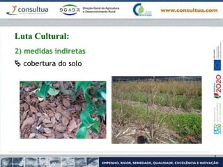 2) medidas indiretas
 cobertura do solo
http://www.mirtilodobrasil.com.br/pomar.html
Luta Cultural:
 