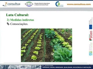 2) Medidas indiretas
 Consociações.
http://mundoorgnico.blogspot.com/2009_01_01_archive.html
Luta Cultural:
 