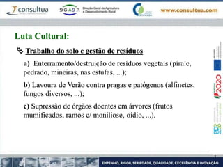  Trabalho do solo e gestão de resíduos
a) Enterramento/destruição de resíduos vegetais (pírale,
pedrado, mineiras, nas estufas, ...);
b) Lavoura de Verão contra pragas e patógenos (alfinetes,
fungos diversos, ...);
c) Supressão de órgãos doentes em árvores (frutos
mumificados, ramos c/ moniliose, oídio, ...).
Luta Cultural:
 