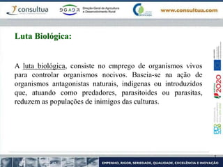 A luta biológica, consiste no emprego de organismos vivos
para controlar organismos nocivos. Baseia-se na ação de
organismos antagonistas naturais, indígenas ou introduzidos
que, atuando como predadores, parasitoides ou parasitas,
reduzem as populações de inimigos das culturas.
Luta Biológica:
 