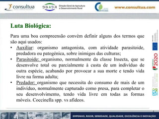 Para uma boa compreensão convém definir alguns dos termos que
são aqui usados:
• Auxiliar: organismo antagonista, com atividade parasitoide,
predadora ou patogénica, sobre inimigos das culturas;
• Parasitoide: organismo, normalmente da classe Insecta, que se
desenvolve total ou parcialmente à custa de um indivíduo de
outra espécie, acabando por provocar a sua morte e tendo vida
livre na forma adulta;
• Predador: organismo que necessita do consumo de mais de um
indivíduo, normalmente capturado como presa, para completar o
seu desenvolvimento, tendo vida livre em todas as formas
móveis. Coccinella spp. vs afídeos.
Luta Biológica:
 