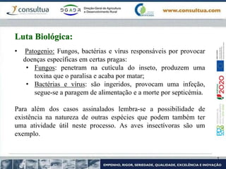 • Patogenio: Fungos, bactérias e vírus responsáveis por provocar
doenças específicas em certas pragas:
• Fungos: penetram na cutícula do inseto, produzem uma
toxina que o paralisa e acaba por matar;
• Bactérias e vírus: são ingeridos, provocam uma infeção,
segue-se a paragem de alimentação e a morte por septicémia.
Para além dos casos assinalados lembra-se a possibilidade de
existência na natureza de outras espécies que podem também ter
uma atividade útil neste processo. As aves insectívoras são um
exemplo.
Luta Biológica:
 