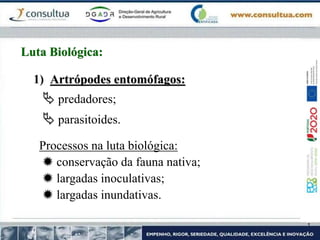 1) Artrópodes entomófagos:
 predadores;
 parasitoides.
Processos na luta biológica:
 conservação da fauna nativa;
 largadas inoculativas;
 largadas inundativas.
Luta Biológica:
 