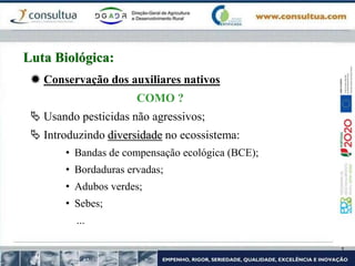  Conservação dos auxiliares nativos
COMO ?
 Usando pesticidas não agressivos;
 Introduzindo diversidade no ecossistema:
• Bandas de compensação ecológica (BCE);
• Bordaduras ervadas;
• Adubos verdes;
• Sebes;
...
Luta Biológica:
 