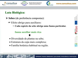  Sebes (de preferência compostas):
 Efeito abrigo para auxiliares:
• Cada espécie da sebe abriga uma fauna particular.
fauna auxiliar mais rica

 Diversidade de plantas na sebe;
 Estrutura da copa mais complexa;
 Família botânica habitual na região.
Luta Biológica:
 