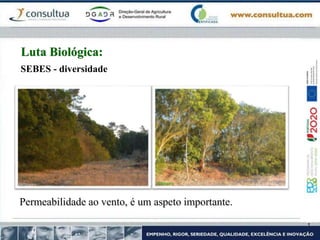 SEBES - diversidade
Luta Biológica:
Permeabilidade ao vento, é um aspeto importante.
 