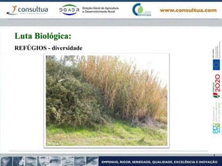 REFÚGIOS - diversidade
Luta Biológica:
 