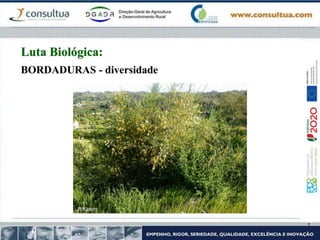 BORDADURAS - diversidade
Luta Biológica:
 