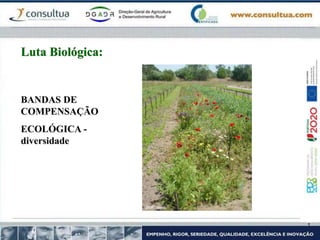 BANDAS DE
COMPENSAÇÃO
ECOLÓGICA -
diversidade
Luta Biológica:
 