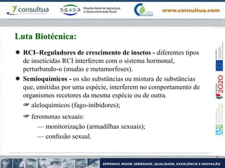  RCI–Reguladores de crescimento de insetos - diferentes tipos
de inseticidas RCI interferem com o sistema hormonal,
perturbando-o (mudas e metamorfoses).
 Semioquímicos - os são substâncias ou mistura de substâncias
que, emitidas por uma espécie, interferem no comportamento de
organismos recetores da mesma espécie ou de outra.
 aleloquímicos (fago-inibidores);
 feromonas sexuais:
— monitorização (armadilhas sexuais);
— confusão sexual.
Luta Biotécnica:
 