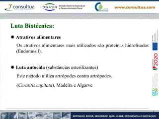  Atrativos alimentares
Os atrativos alimentares mais utilizados são proteínas hidrolisadas
(Endomosil).
 Luta autocida (substâncias esterilizantes)
Este método utiliza artrópodes contra artrópodes.
(Ceratitis capitata), Madeira e Algarve
Luta Biotécnica:
 