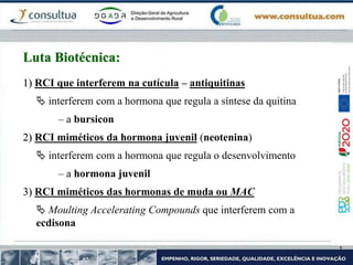1) RCI que interferem na cutícula – antiquitinas
 interferem com a hormona que regula a síntese da quitina
– a bursicon
2) RCI miméticos da hormona juvenil (neotenina)
 interferem com a hormona que regula o desenvolvimento
– a hormona juvenil
3) RCI miméticos das hormonas de muda ou MAC
 Moulting Accelerating Compounds que interferem com a
ecdisona
Luta Biotécnica:
 