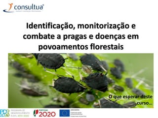 Identificação, monitorização e
combate a pragas e doenças em
povoamentos florestais
O que esperar deste
curso…
 