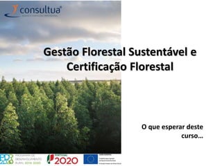 Gestão Florestal Sustentável e
Certificação Florestal
O que esperar deste
curso…
 