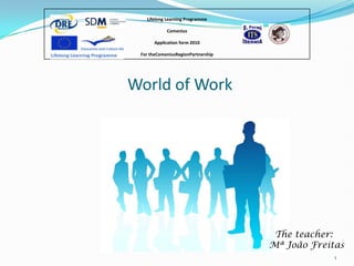 Lifelong Learning Programme

            Comenius

       Application form 2010

 For theComeniusRegionPartnership




World of Work




                                     The teacher:
                                    Mª João Freitas
                                                 1
 