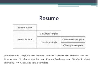 Resumo
 