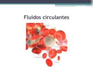 Fluidos circulantes
 