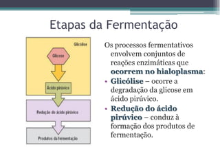 Etapas da Fermentação
Os processos fermentativos
envolvem conjuntos de
reações enzimáticas que
ocorrem no hialoplasma:
• Glicólise – ocorre a
degradação da glicose em
ácido pirúvico.
• Redução do ácido
pirúvico – conduz à
formação dos produtos de
fermentação.
 