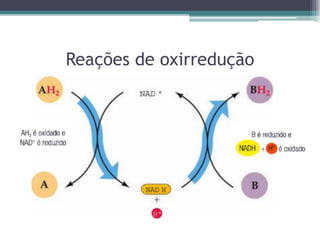 Reações de oxirredução
 