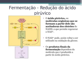 Fermentação - Redução do ácido
pirúvico
• O ácido pirúvico, ou
moléculas orgânicas que se
formam a partir dele são
aceitadoras dos eletrões do
NADH, o que permite regenerar
o NAD+.
• O NAD+ pode, assim voltar a ser
utilizado na oxidação da glicose.
• Os produtos finais da
fermentação dependem da
molécula que é produzida a
partir do ácido pirúvico.
 