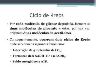 Ciclo de Krebs
• Por cada molécula de glicose degradada, formam-se
duas moléculas de piruvato e estas, por sua vez,
originam duas moléculas de acetil-CoA.
• Consequentemente, ocorrem dois ciclos de Krebs
onde sucedem os seguintes fenómenos:
• Libertação de 4 moléculas de CO2;
• Formação de 6 NADH+H+ e 2 FADH2;
• Saldo energético: 2 ATP.
 
