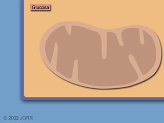 Profª: Sandra
Nascimento
33
 