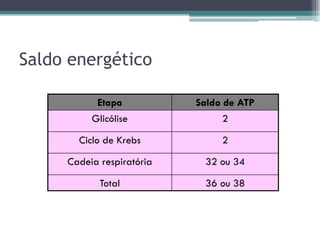Saldo energético
Etapa Saldo de ATP
Glicólise 2
Ciclo de Krebs 2
Cadeia respiratória 32 ou 34
Total 36 ou 38
 