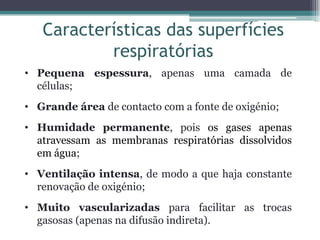 Características das superfícies
respiratórias
• Pequena espessura, apenas uma camada de
células;
• Grande área de contacto com a fonte de oxigénio;
• Humidade permanente, pois os gases apenas
atravessam as membranas respiratórias dissolvidos
em água;
• Ventilação intensa, de modo a que haja constante
renovação de oxigénio;
• Muito vascularizadas para facilitar as trocas
gasosas (apenas na difusão indireta).
 