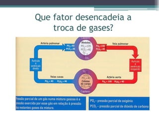 Que fator desencadeia a
troca de gases?
 