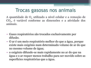 Trocas gasosas nos animais
• Gases respiratórios são trocados exclusivamente por
difusão.
• O ar é um meio respiratório melhor do que a água, porque
existe mais oxigénio num determinado volume de ar do que
no mesmo volume de água;
• o oxigénio difunde-se mais rapidamente no ar do que na
água e o ar requer menos trabalho para ser movido sobre as
superfícies respiratórias que a água.
A quantidade de O2 utilizado a nível celular e a remoção de
CO2, é variável conforme as dimensões e a atividade dos
animais.
 