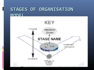 STAGES OF ORGANISATIONSTAGES OF ORGANISATION
MODELMODEL
 