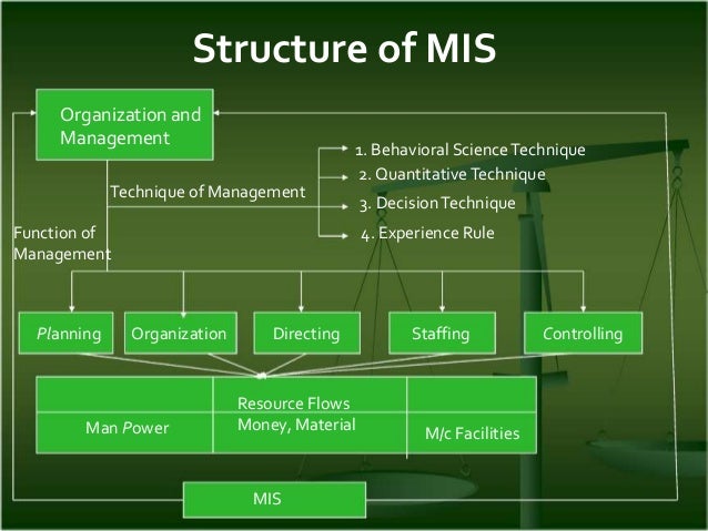 Management Information System Organizational Chart