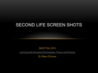 SECOND LIFE SCREEN SHOTS 
MALET FALL 2014 
Learning with Emerging Technologies: Theory and Practice 
Dr. Eileen O’Connor 
 