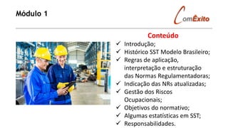 Módulo 1
Conteúdo
✓ Introdução;
✓ Histórico SST Modelo Brasileiro;
✓ Regras de aplicação,
interpretação e estruturação
das Normas Regulamentadoras;
✓ Indicação das NRs atualizadas;
✓ Gestão dos Riscos
Ocupacionais;
✓ Objetivos do normativo;
✓ Algumas estatísticas em SST;
✓ Responsabilidades.
 