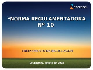 TREINAMENTO DE RECICLAGEM Cataguases, agosto de 2008 “ NORMA REGULAMENTADORA   Nº 10  