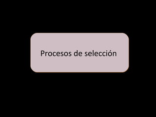 Procesos de selecciónProcesos de selección
 