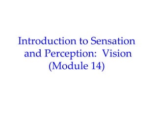 Introduction to Sensation
 and Perception: Vision
      (Module 14)
 