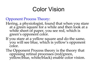 Color Vision
Opponent Process Theory:
Hering, a physiologist, found that when you stare
   at a green square for a while and then look at a
   white sheet of paper, you see red, which is
   green’s opponent color.
If you stare at a yellow square and do the same,
   you will see blue, which is yellow’s opponent
   color.
The Opponent Process theory is the theory that
   opposing retinal processes (red/green,
   yellow/blue, white/black) enable color vision.
 