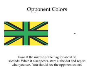 Opponent Colors




      Gaze at the middle of the flag for about 30
seconds. When it disappears, stare at the dot and report
  what you see. You should see the opponent colors.
 
