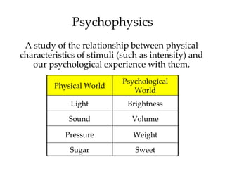 Psychophysics
 A study of the relationship between physical
characteristics of stimuli (such as intensity) and
   our psychological experience with them.
                           Psychological
         Physical World
                              World
             Light           Brightness

             Sound            Volume

            Pressure          Weight

             Sugar             Sweet
 