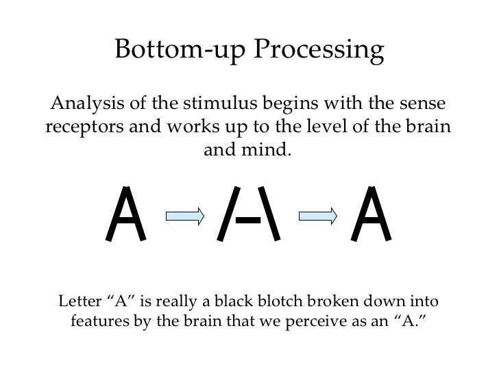 bottom up processing example